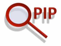 qpip