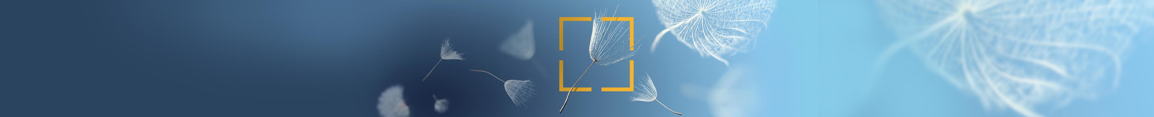 intellectual property for startups - Propriété intellectuelle pour startups - Geistiges Eigentum für Start-ups